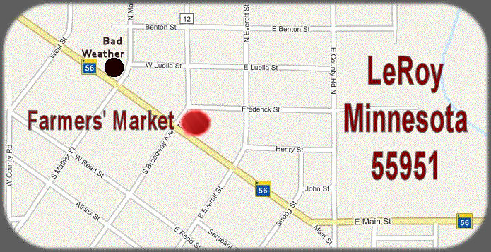 Downtown LeRoy MN Map